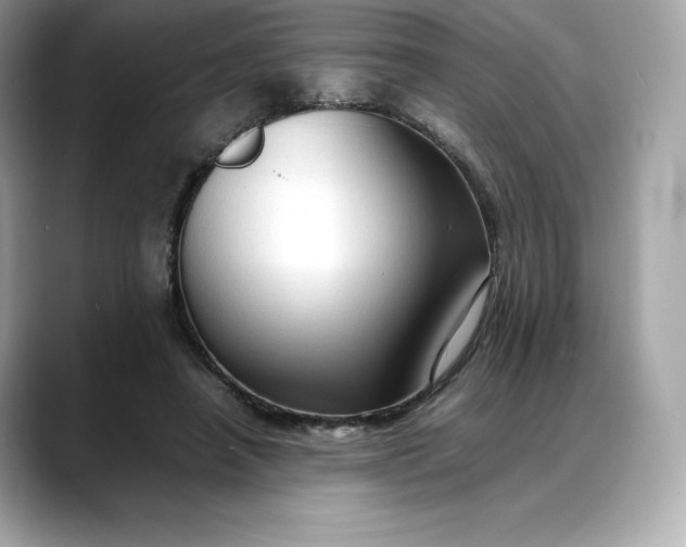 X0000088360450200706051026