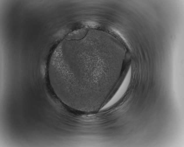 X0000088360451200706051026