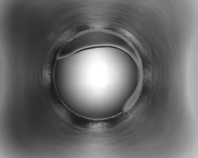 X0000088360452200706051026