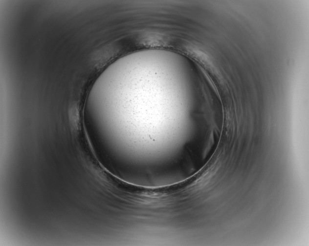 X0000088360453200706051026