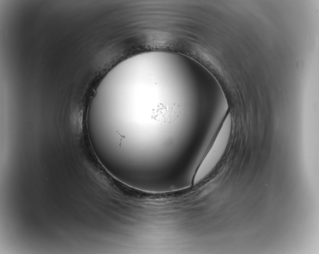 X0000088360454200706051026