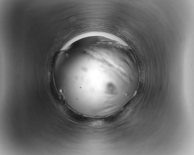 X0000088360456200706051026