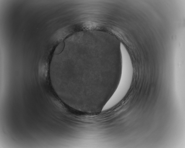 X0000088360458200706051026