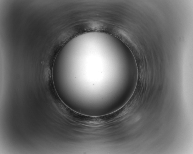 X0000088360459200706051026