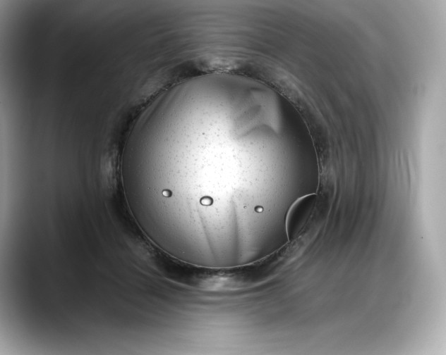 X0000088360460200706051026