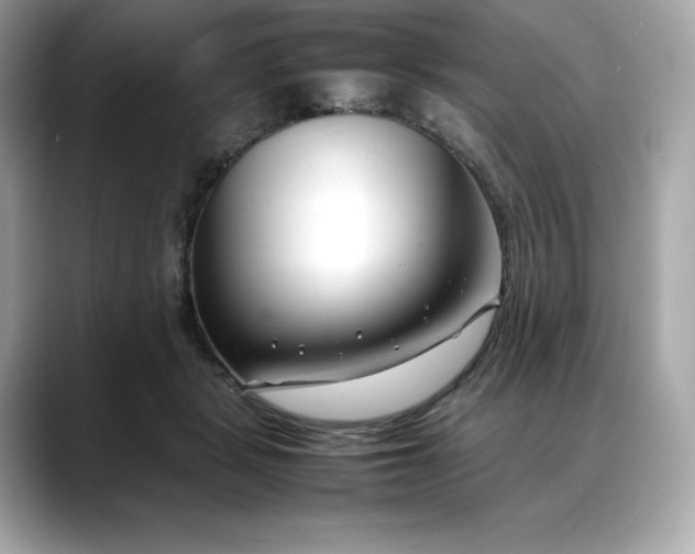 X0000088360461200706051026