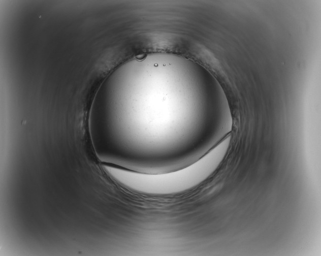 X0000088360462200706051026