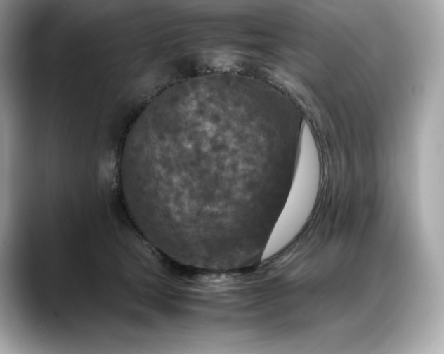 X0000088360465200706051026