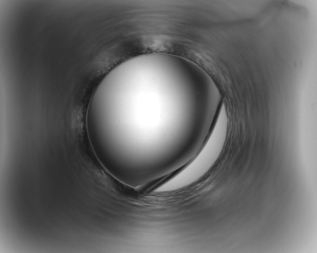 X0000088360466200706051026