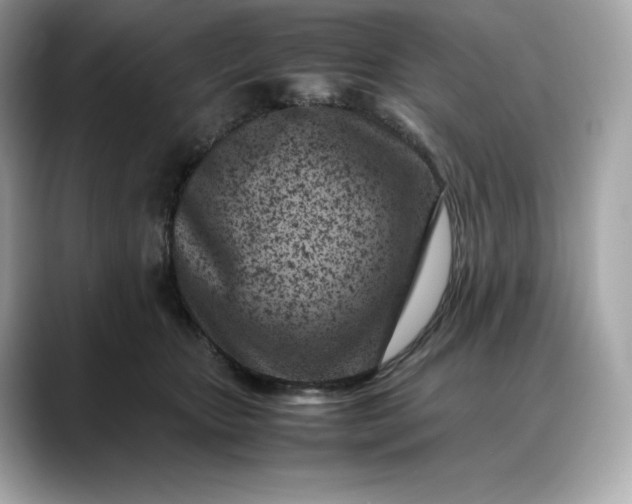 X0000088360467200706051026