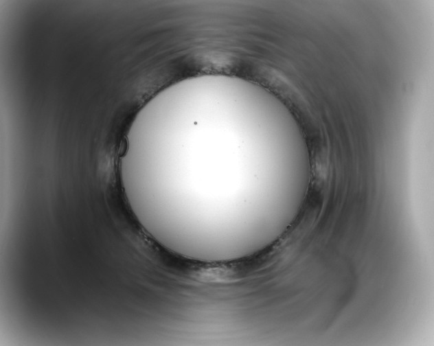 X0000088360468200706051026