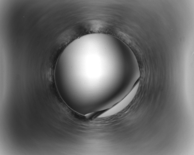 X0000088360470200706051026