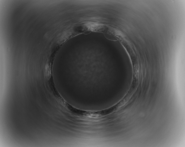 X0000088360471200706051026