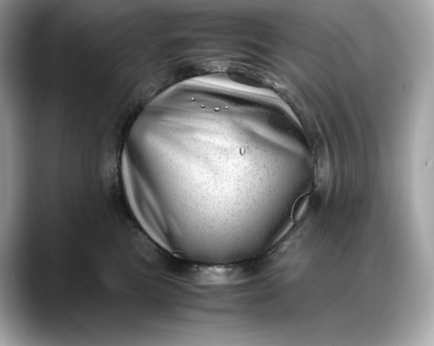 X0000088360473200706051026