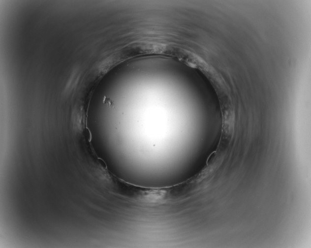 X0000088360474200706051026