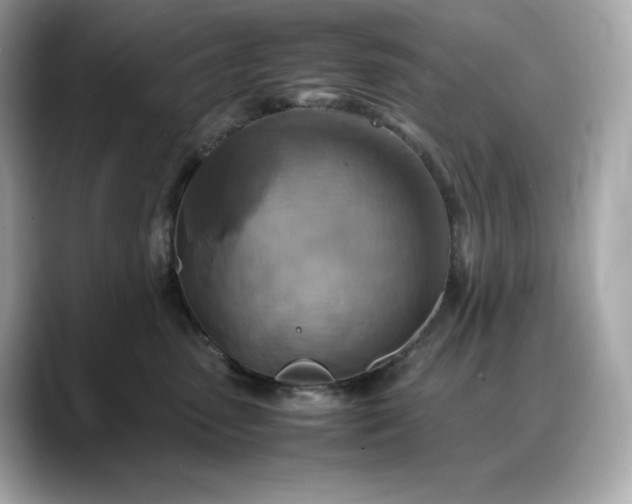 X0000088360475200706051026