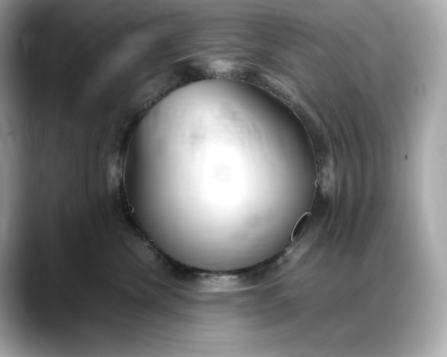 X0000088360476200706051026