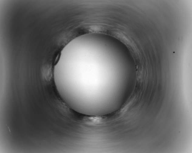 X0000088360478200706051026