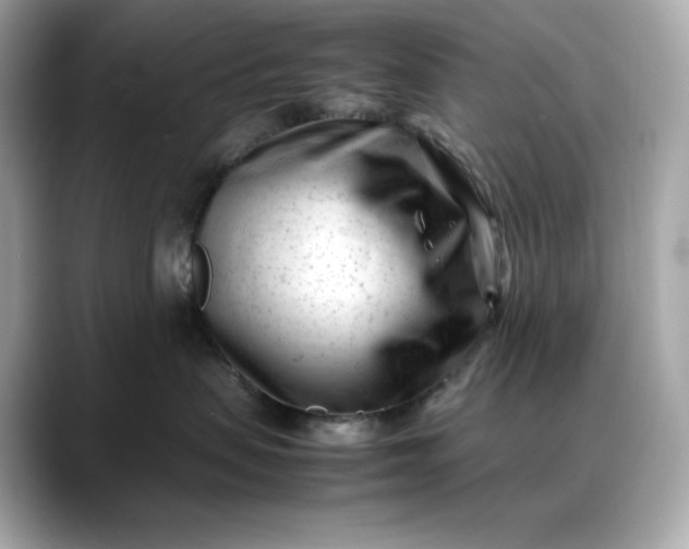 X0000088360479200706051026