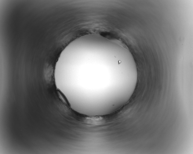 X0000088360480200706051026