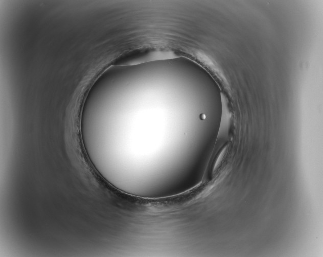 X0000088360481200706051026