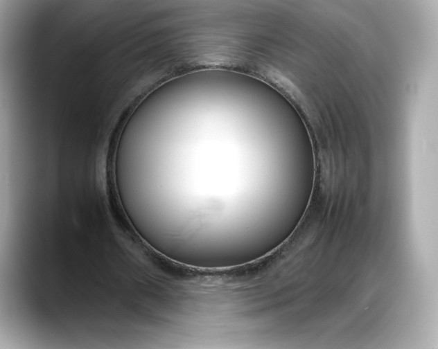 X0000088360482200706051026