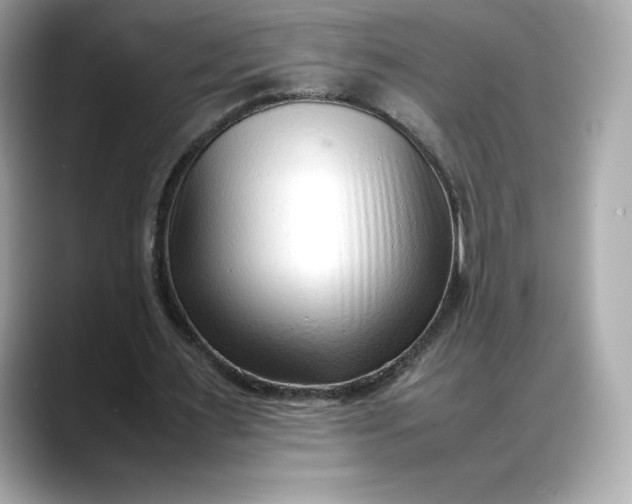 X0000088360483200706051026