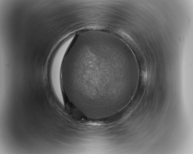 X0000088360484200706051026