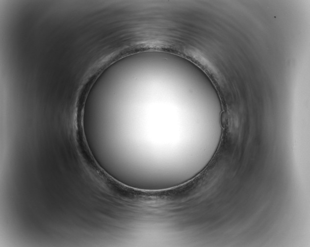 X0000088360486200706051026