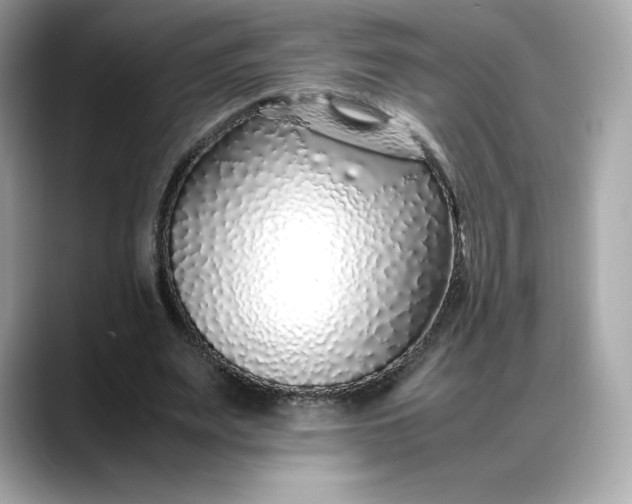 X0000088360487200706051026