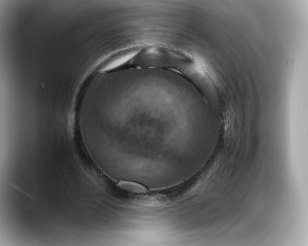 X0000088360488200706051026