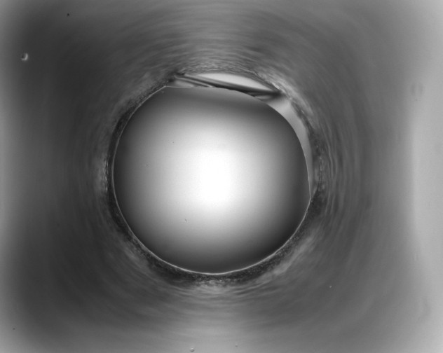 X0000088360489200706051026