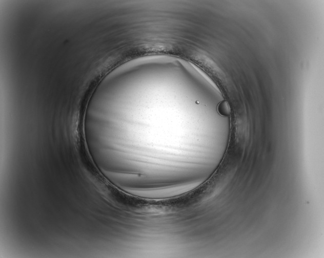 X0000088360490200706051026