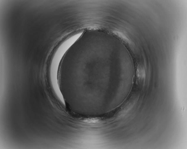 X0000088360492200706051026