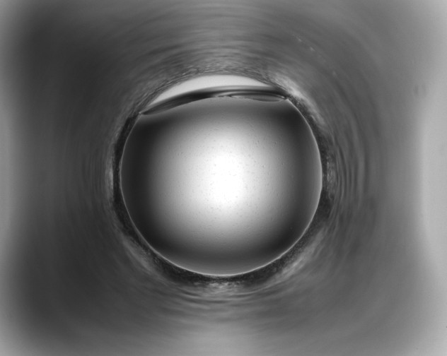 X0000088360493200706051026