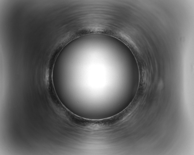 X0000088360494200706051026