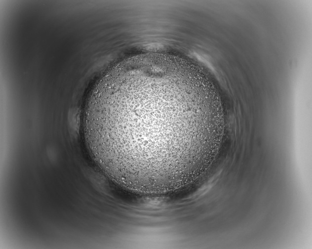 X0000088360495200706051026