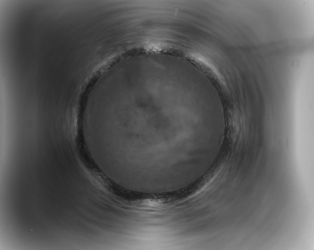 X0000088360496200706051026