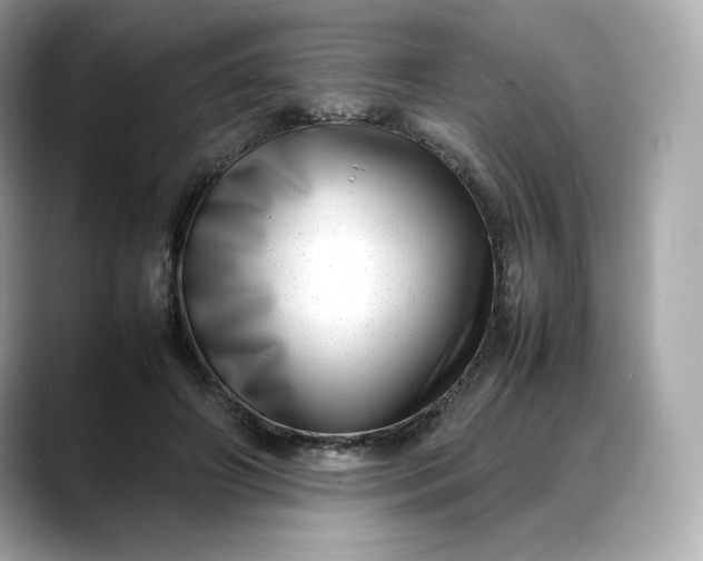 X0000088360498200706051026