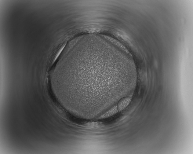 X0000088360499200706051026