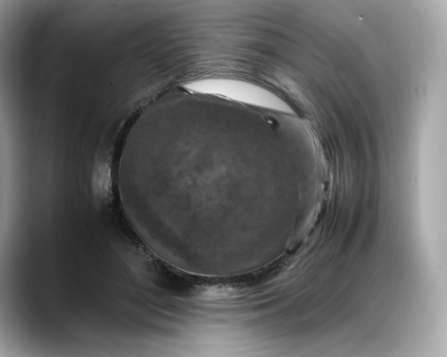 X0000088360500200706051026