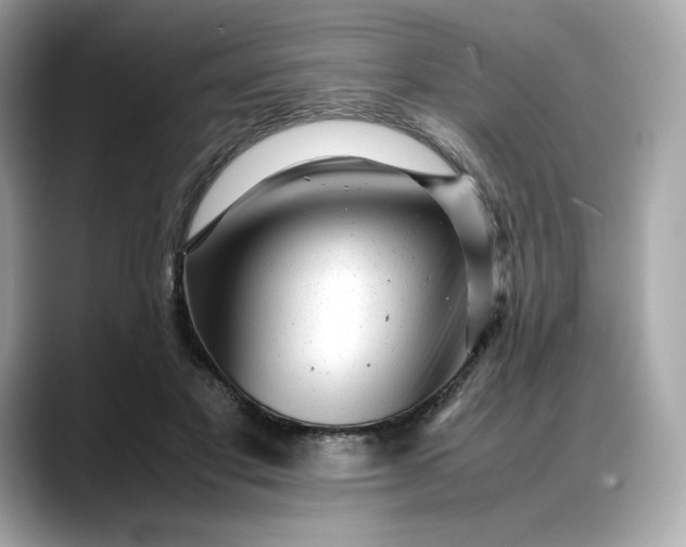 X0000088360501200706051026