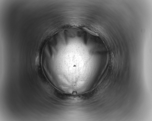 X0000088360502200706051026