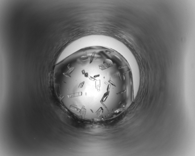 X0000088360503200706051026