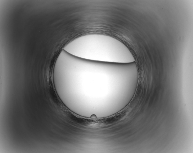 X0000088360504200706051026