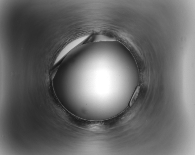 X0000088360505200706051026