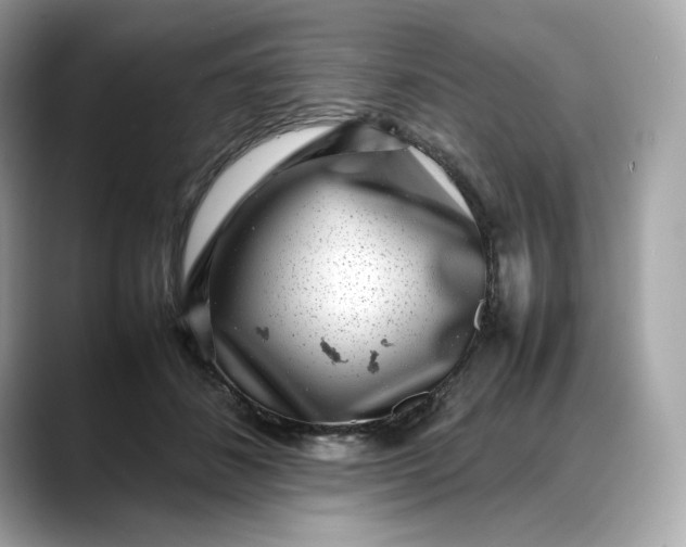 X0000088360508200706051026