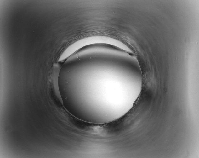 X0000088360509200706051026