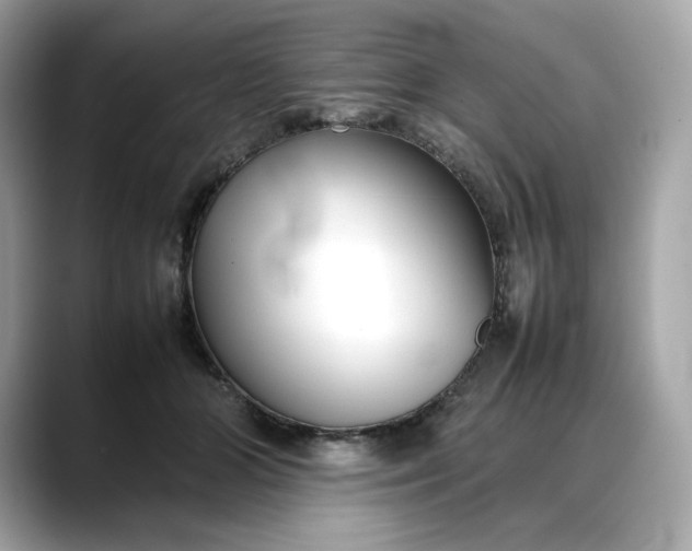 X0000088360510200706051026