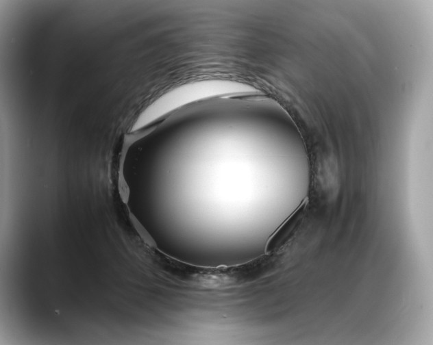 X0000088360512200706051026